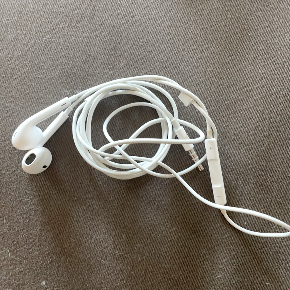 Apple earbuds